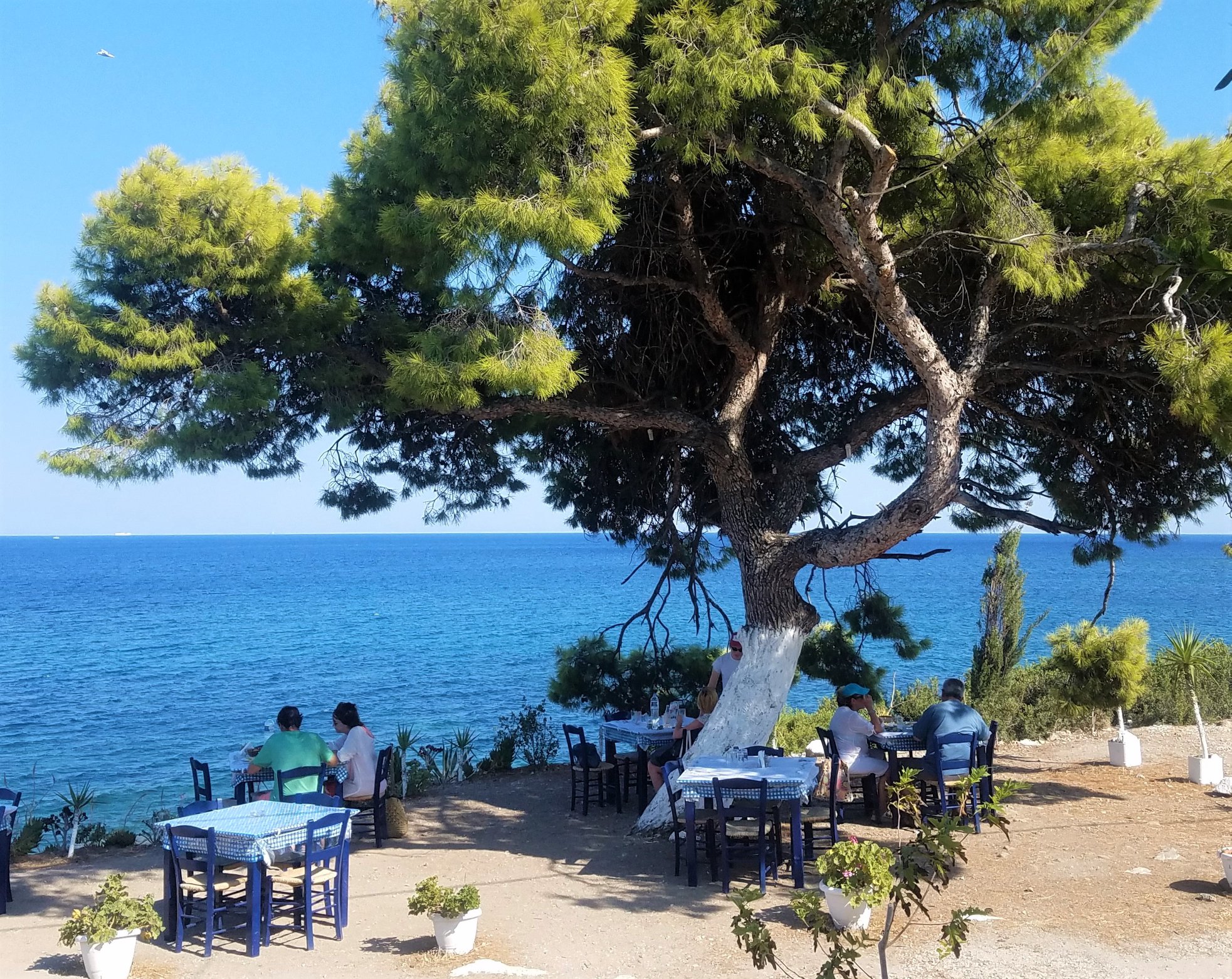 Aegina 4