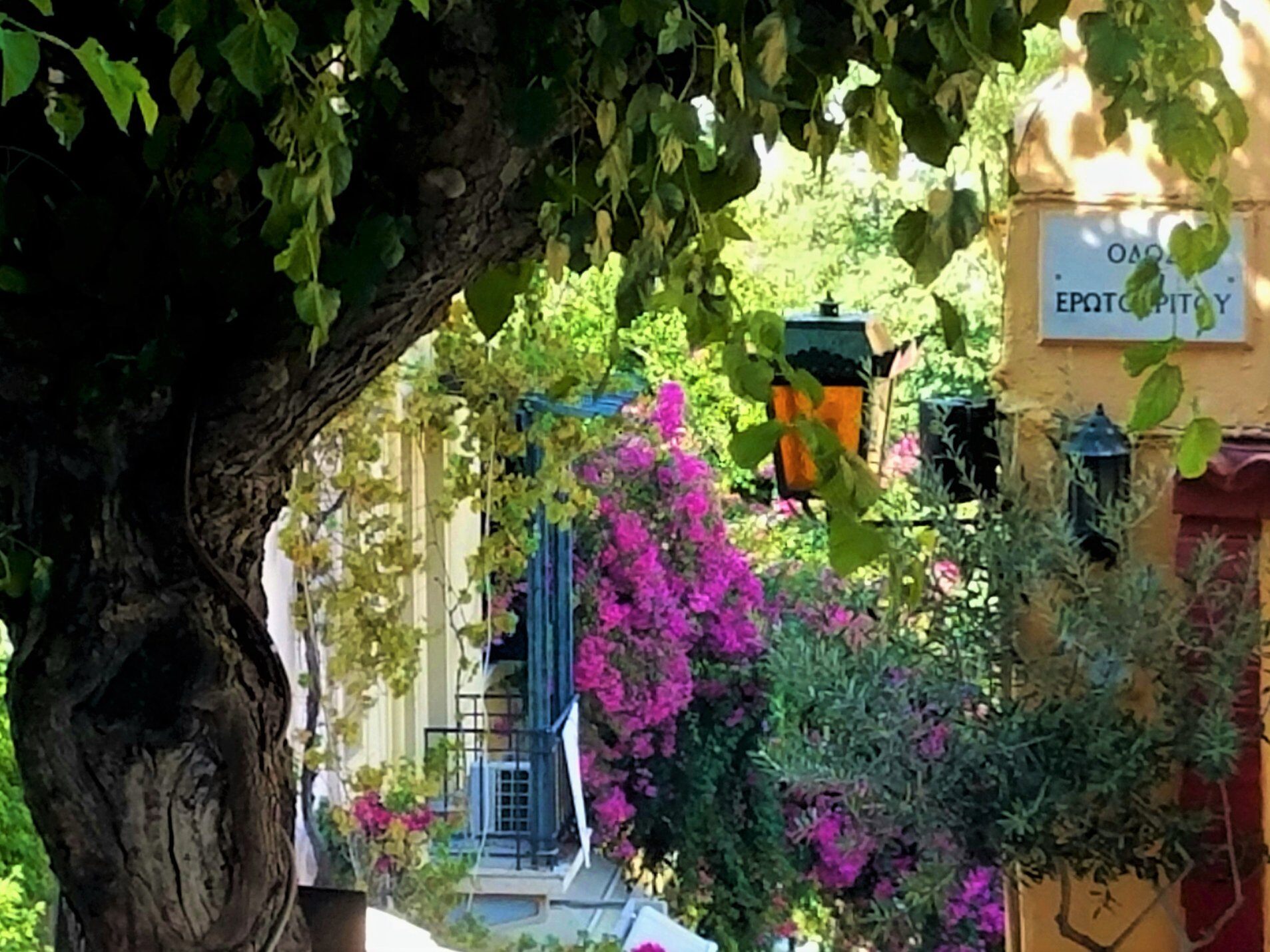 Athens 7